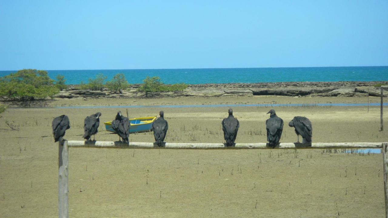 Residencial Praia Dos Corais Coroa Vermelha ภายนอก รูปภาพ
